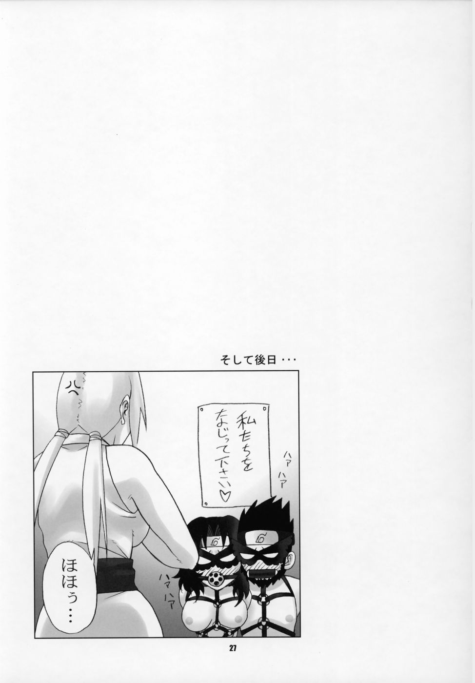 issues_27.jpg